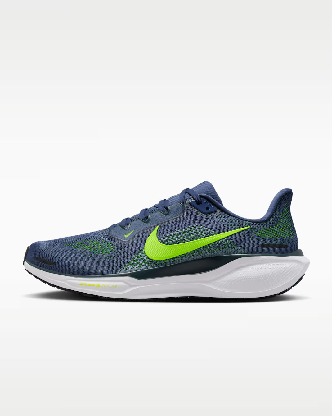 Air Zoom Pegasus 41 - MSBSN