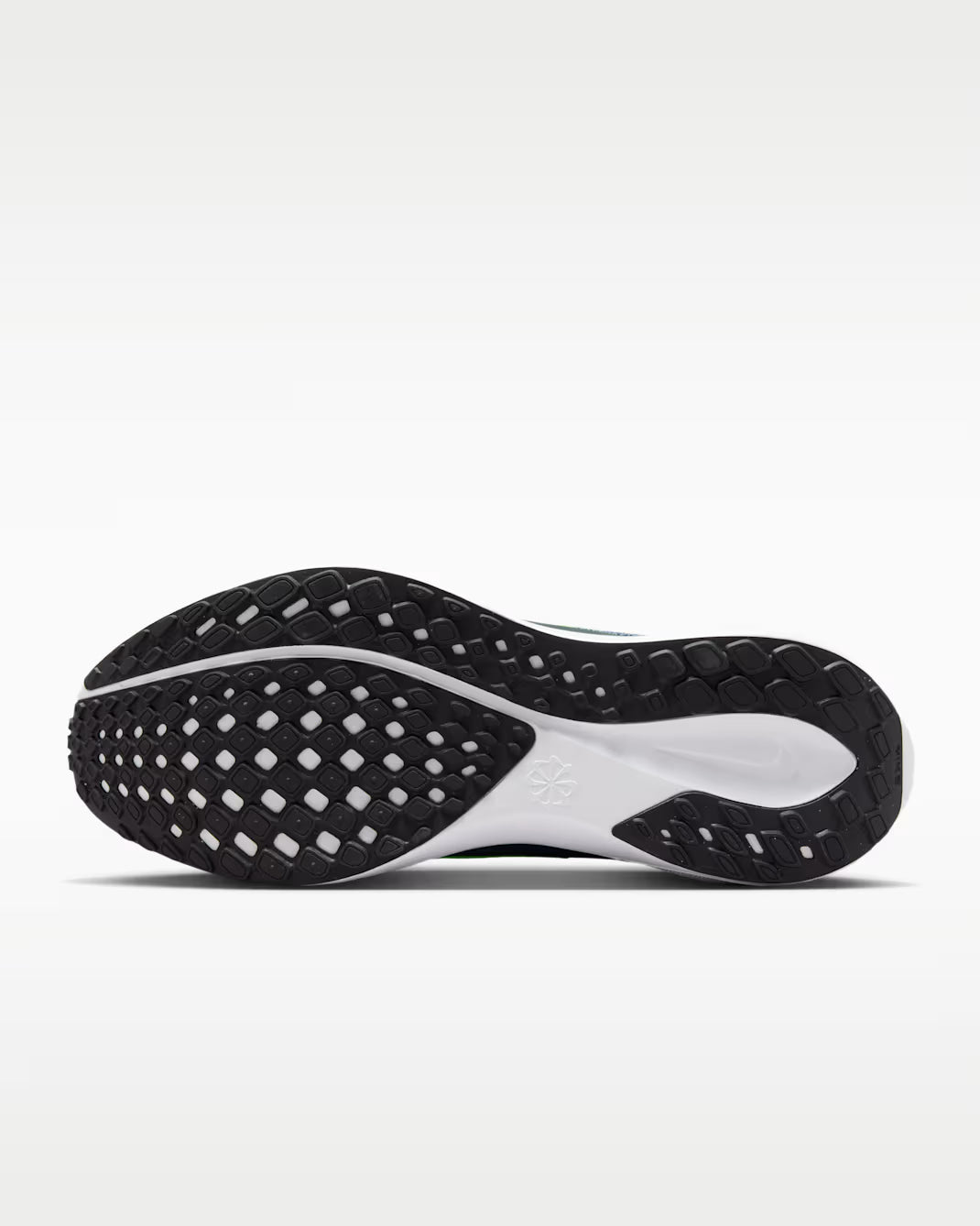Air Zoom Pegasus 41 - MSBSN