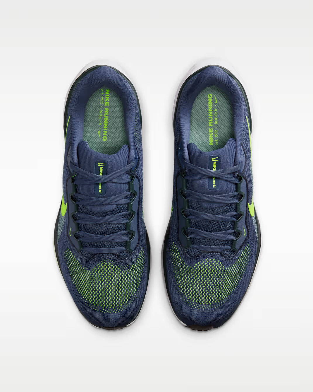 Air Zoom Pegasus 41 - MSBSN