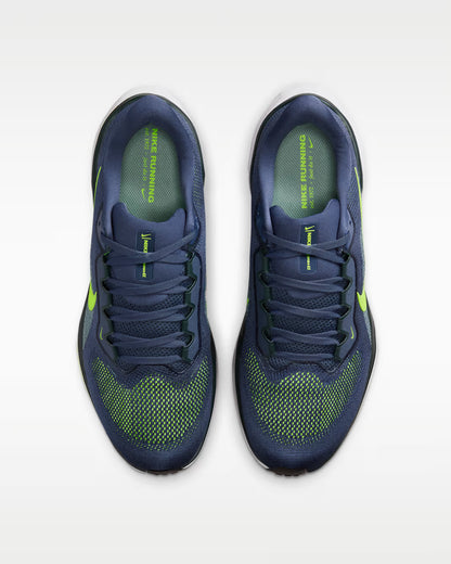 Air Zoom Pegasus 41 - MSBSN