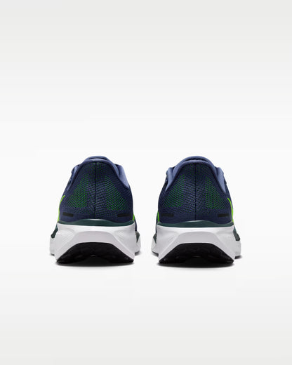 Air Zoom Pegasus 41 - MSBSN