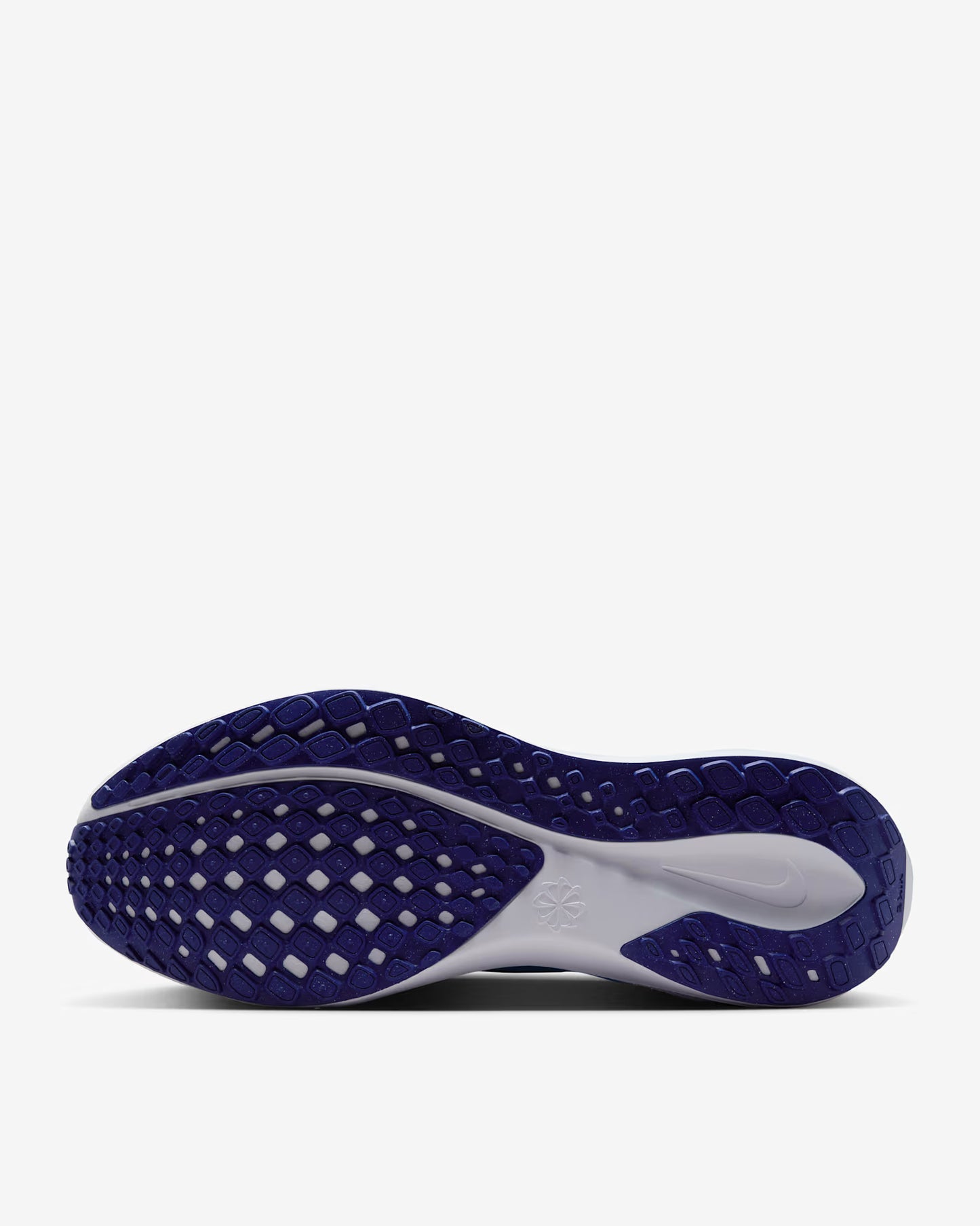 Air Zoom Pegasus 41 - MSBSN