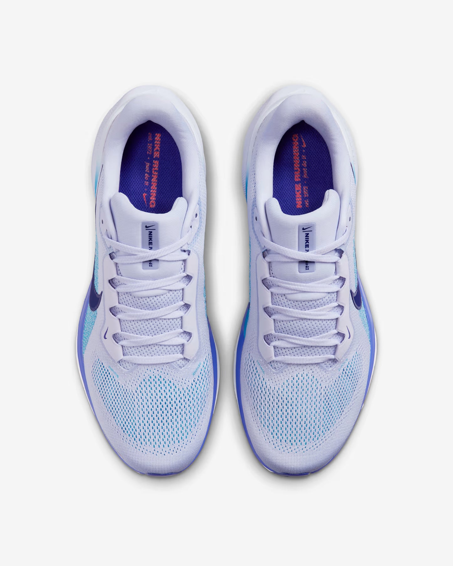 Air Zoom Pegasus 41 - MSBSN