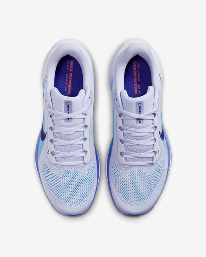 Air Zoom Pegasus 41 - MSBSN